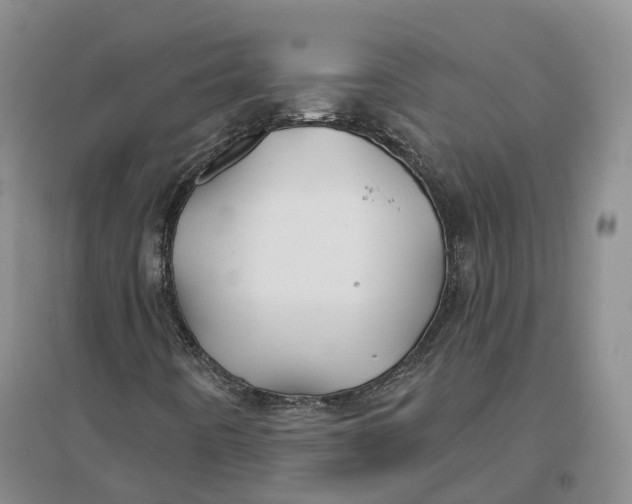 X0000096711442200802261618