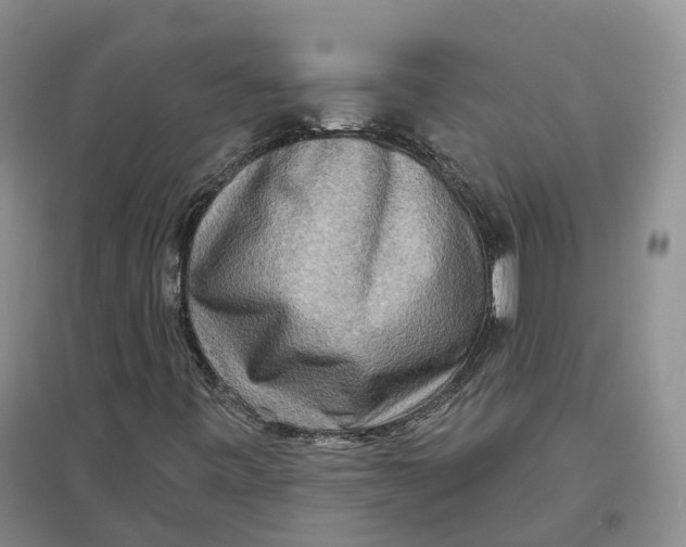 X0000096711443200802261618