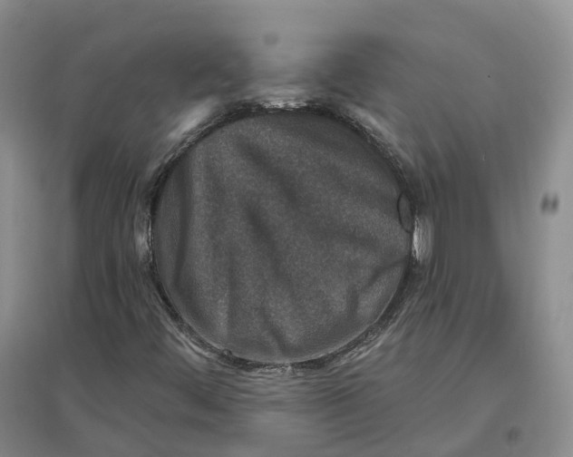 X0000096711444200802261618