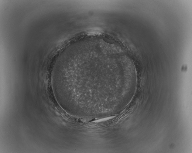 X0000096711445200802261618