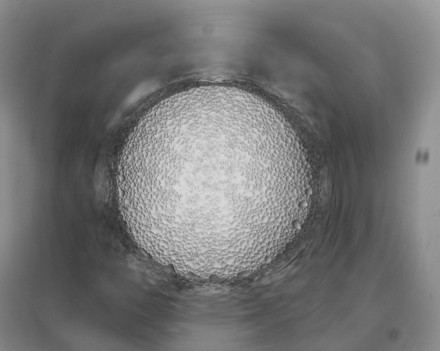 X0000096711446200802261618