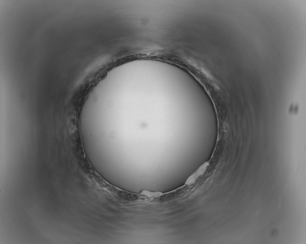 X0000096711447200802261618