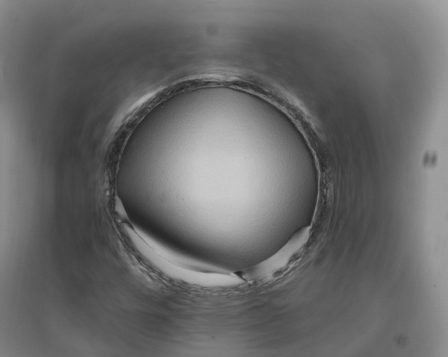 X0000096711448200802261618