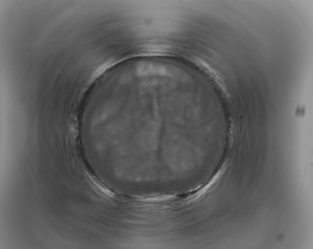 X0000096711449200802261618