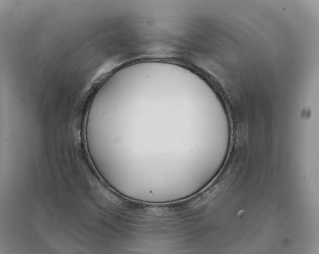 X0000096711451200802261618