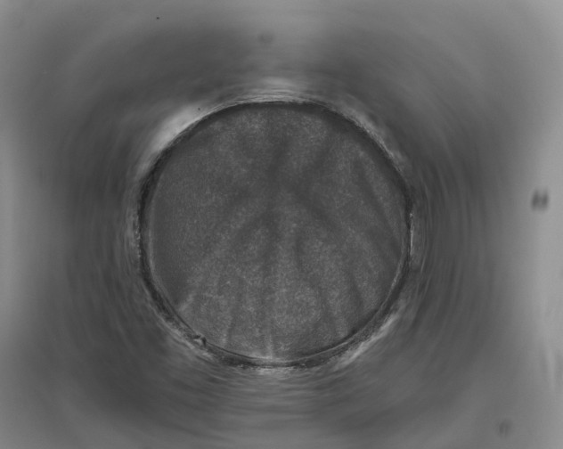 X0000096711453200802261617