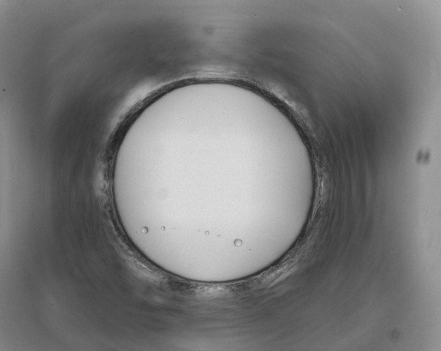 X0000096711454200802261617