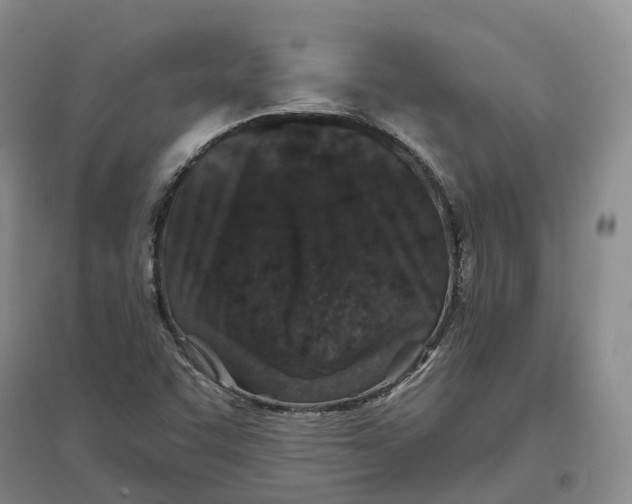 X0000096711455200802261617