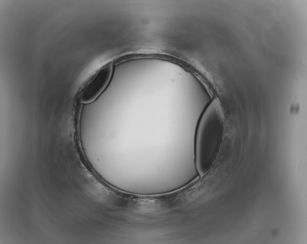 X0000096711456200802261617