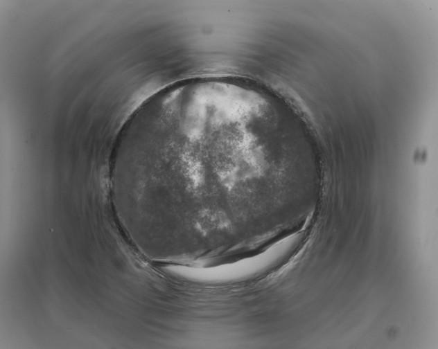 X0000096711457200802261617