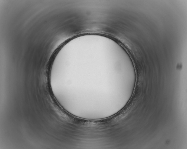 X0000096711458200802261617