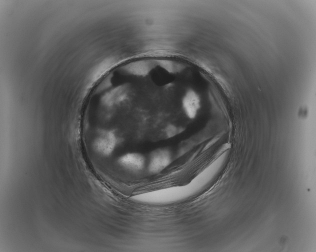 X0000096711459200802261617