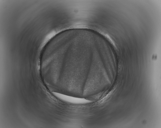 X0000096711461200802261617