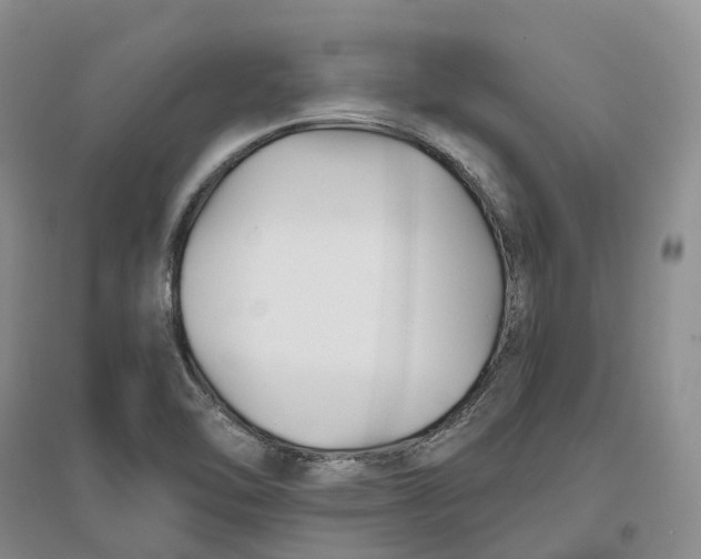 X0000096711462200802261617