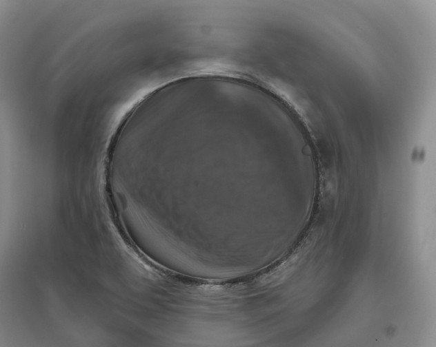 X0000096711463200802261617