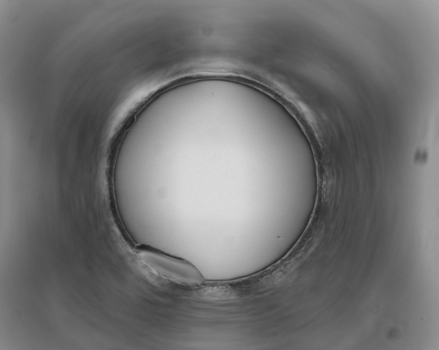 X0000096711464200802261617