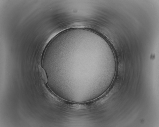 X0000096711465200802261617