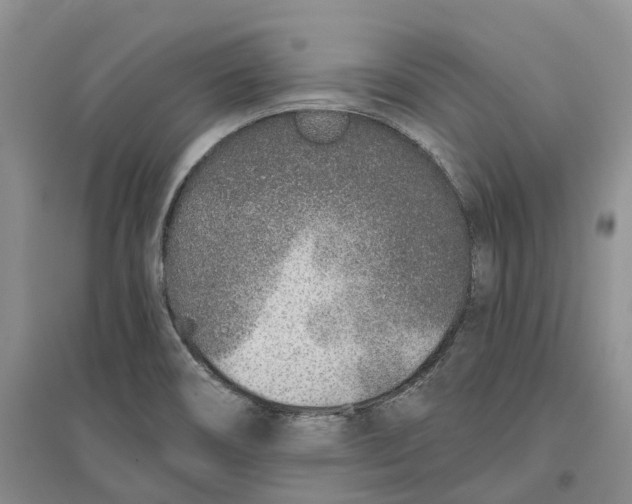 X0000096711466200802261617