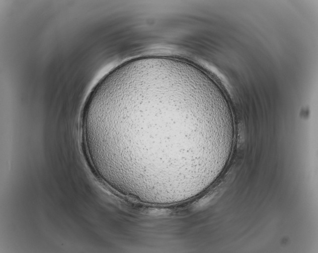 X0000096711467200802261617