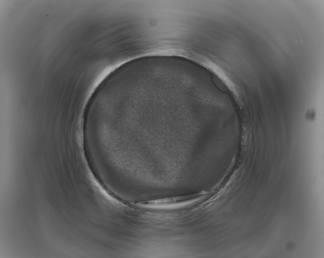 X0000096711468200802261617