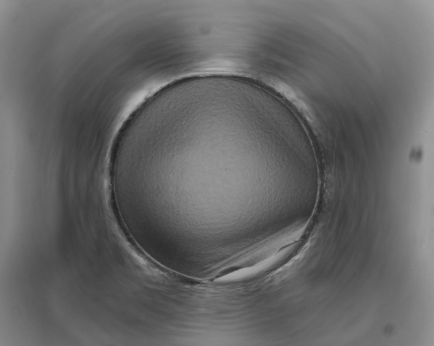 X0000096711469200802261617