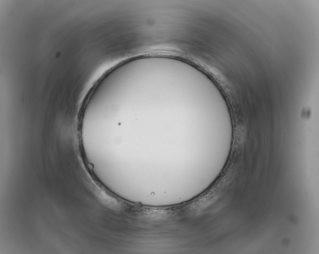 X0000096711470200802261617