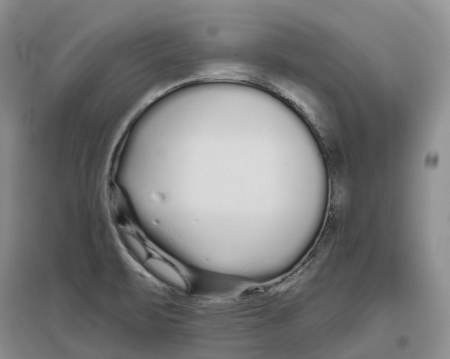 X0000096711471200802261617