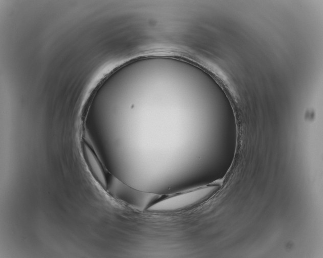 X0000096711472200802261617