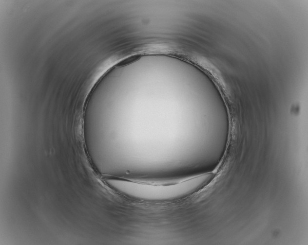 X0000096711473200802261617