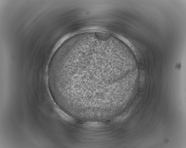 X0000096711474200802261617