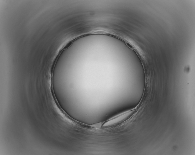 X0000096711476200802261617