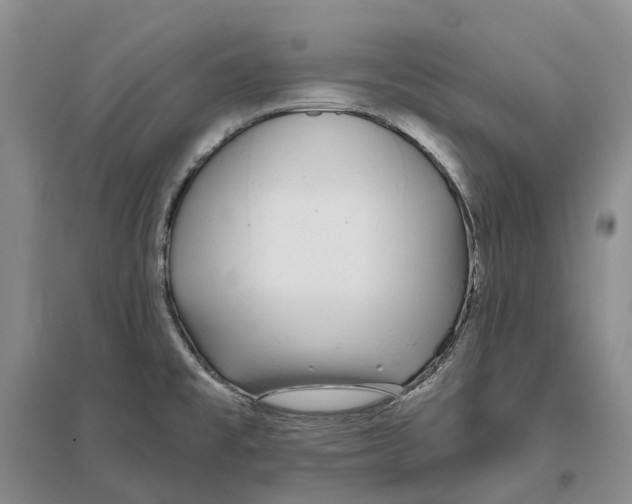 X0000096711477200802261617