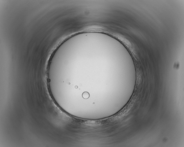 X0000096711478200802261617