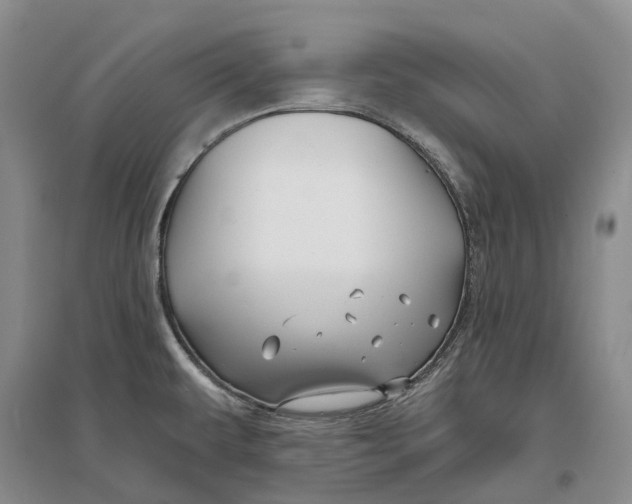 X0000096711479200802261617