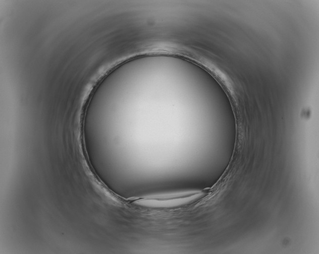 X0000096711480200802261617