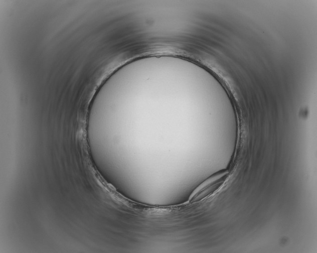 X0000096711481200802261617