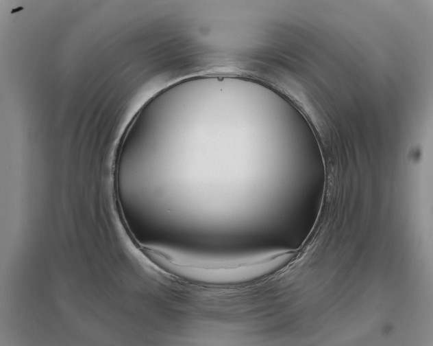 X0000096711483200802261617