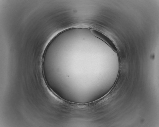 X0000096711484200802261617