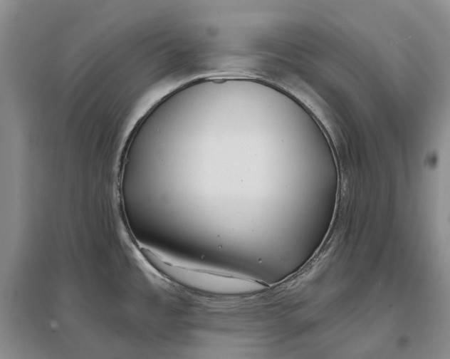 X0000096711485200802261617