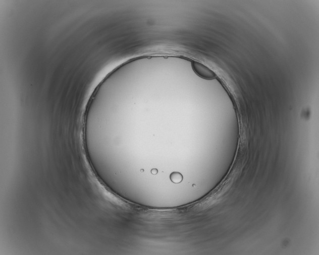 X0000096711486200802261617