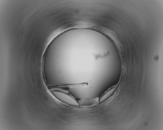 X0000096711487200802261617