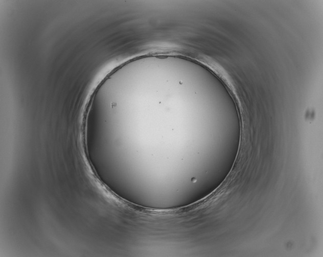 X0000096711488200802261617