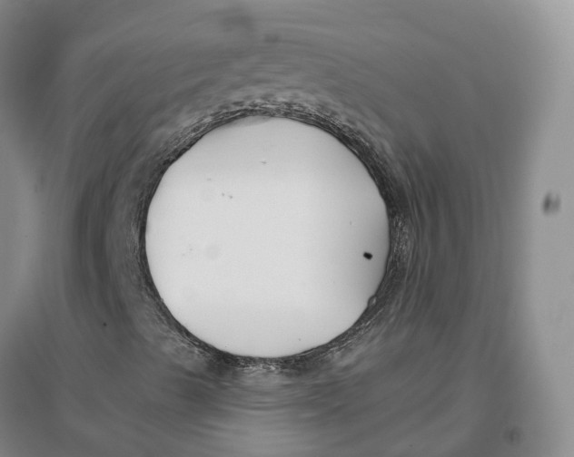 X0000096711489200802261616