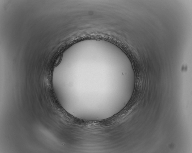 X0000096711490200802261616