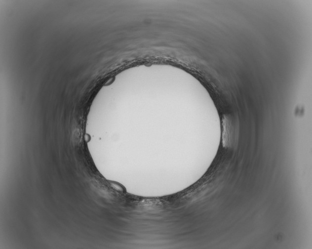 X0000096711491200802261616