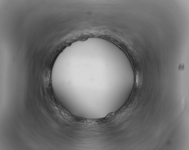 X0000096711492200802261616