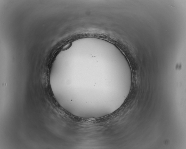 X0000096711493200802261616