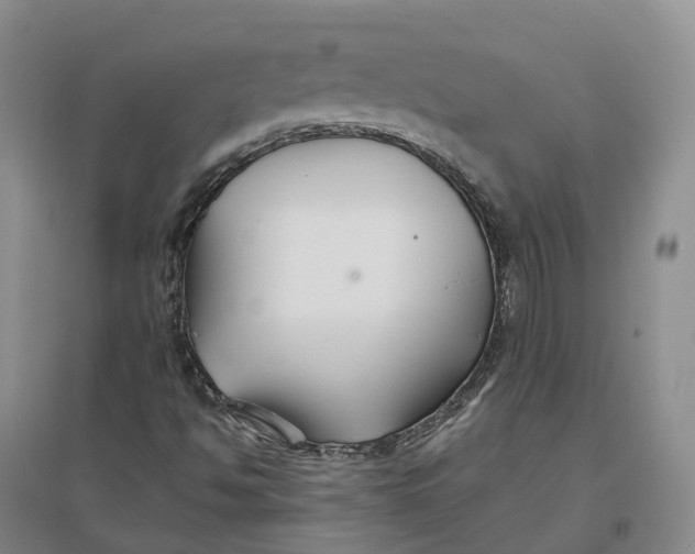 X0000096711494200802261616