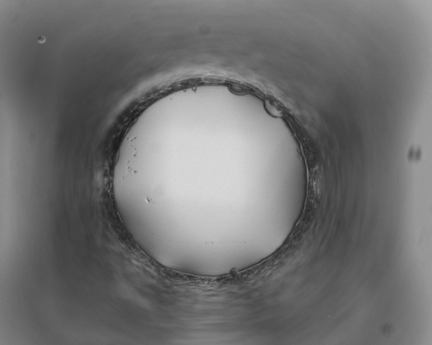 X0000096711495200802261616