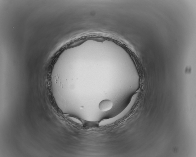 X0000096711496200802261616